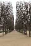Jardins du Palais Royal 2