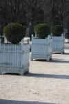 Palais Royal Gardens