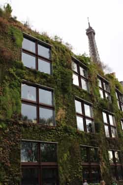 Green Wall of the Quai Branly